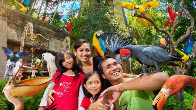 Bali Bird Park