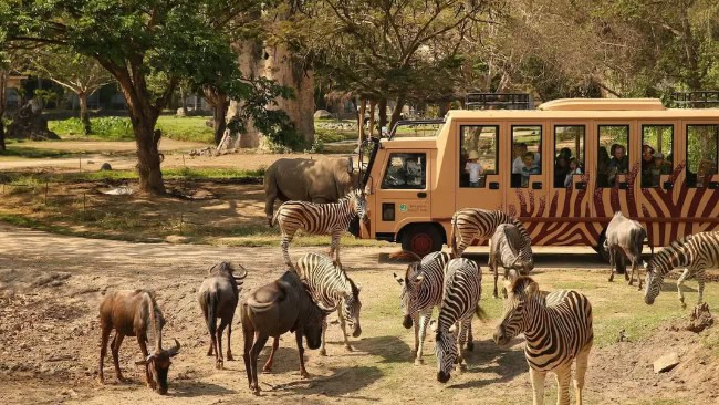 Bali Safari and Marine Park