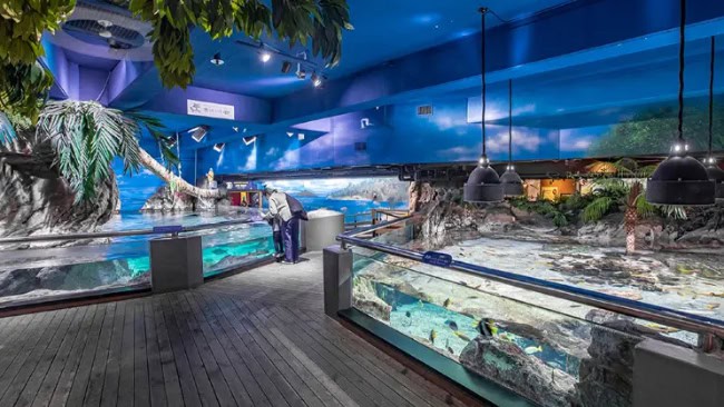 Coex Aquarium