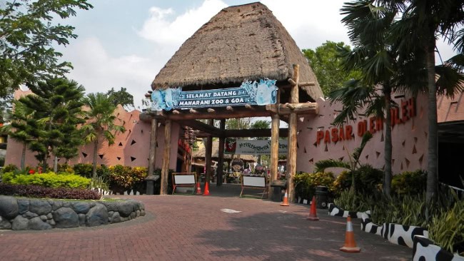 Daya Tarik Wisata Bahari Lamongan