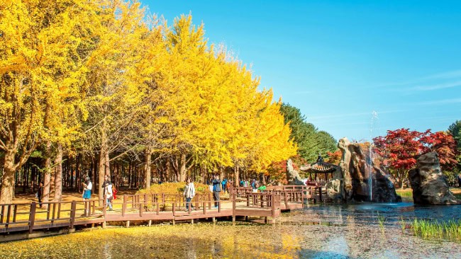 Nami Island