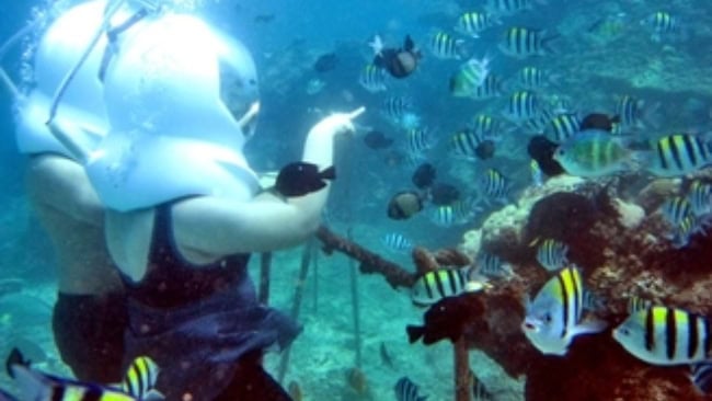 Seawalker Bali at Grand Mirage Resort