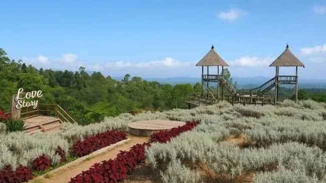 Taman Edelweiss (Padang Bunga Kasna)