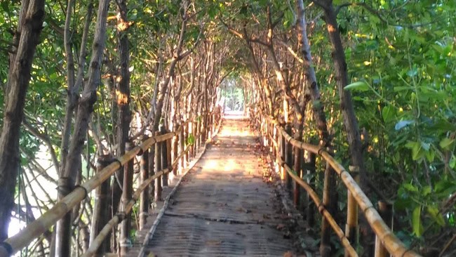 Dermaga Taman Mangrove Pandansari