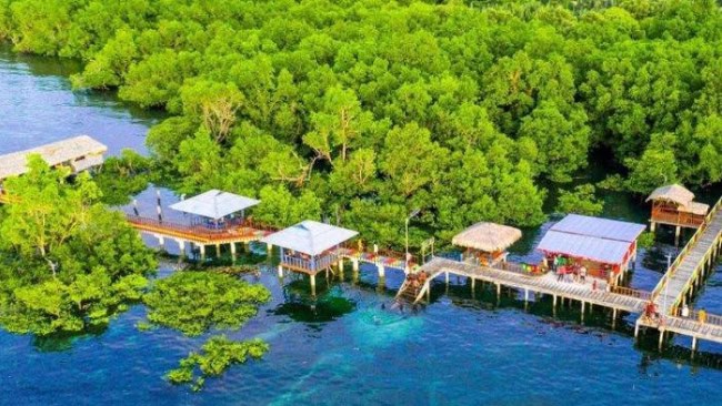 Mangrove Park Bahowo