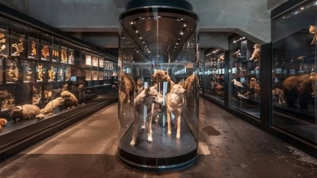 Museum Ranggawarsita