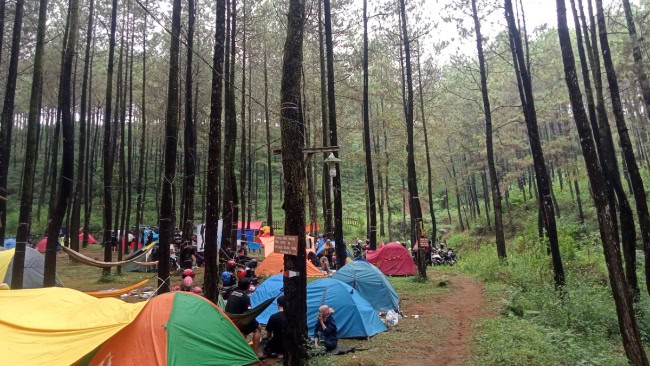 Puthuk Panggang Welut