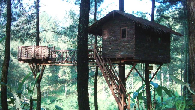 The Pines Taman Dayu