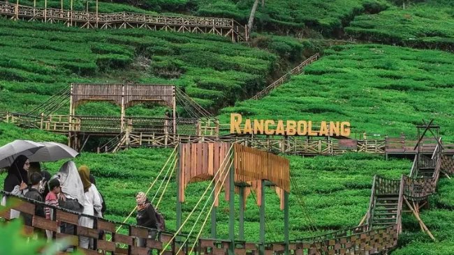 Bukit Jamur Rancabolang