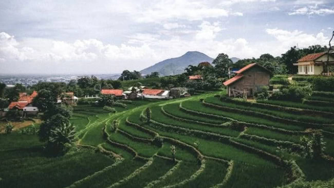 Daya Tarik Desa Wisata Trayu Kendal