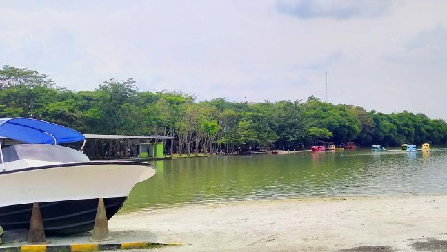 Daya Tarik Wisata Wana Griya