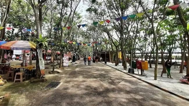 Lokasi dan Cara Menuju Wisata Wana Griya