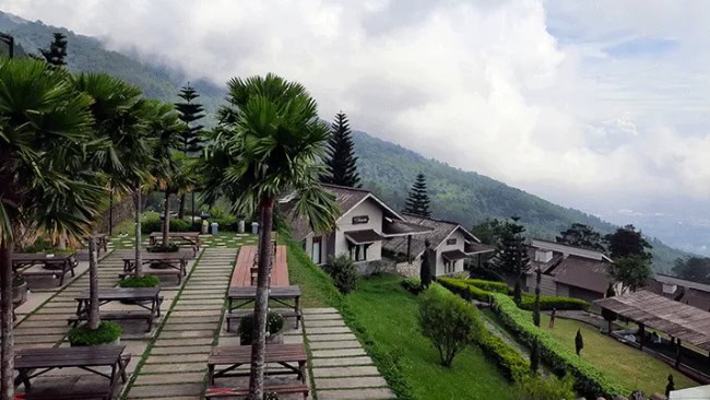 Pondok Kopi Sidomukti