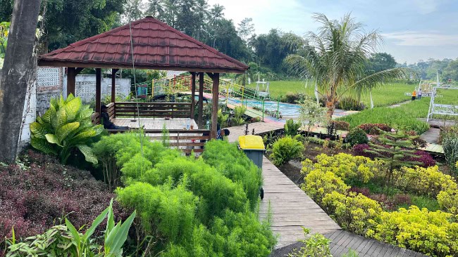 Tentang Desa Wisata Trayu Kendal
