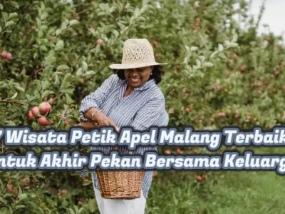 7 Wisata Petik Apel Malang Terbaik untuk Akhir Pekan Bersama Keluarga