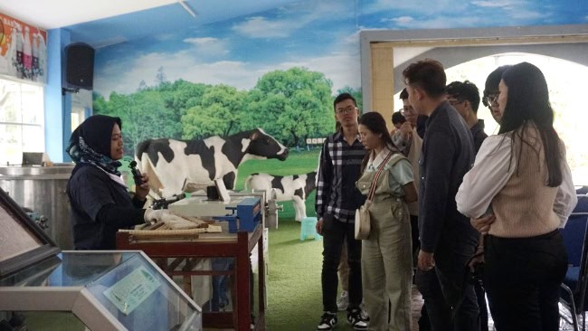 Aktivitas Seru di Wisata Edukasi Susu Batu