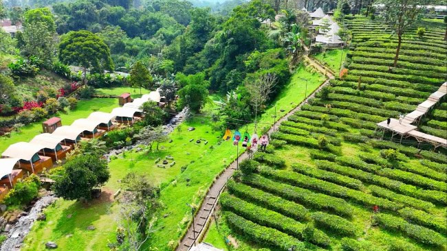 Aktivitas Seru yang Bisa Dilakukan di Wisata Gunung Mas
