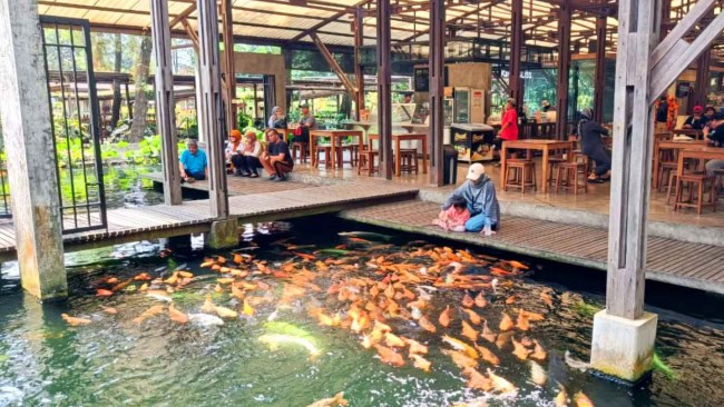 Aktivitas dan Atraksi Seru di Kuntum Farmfield