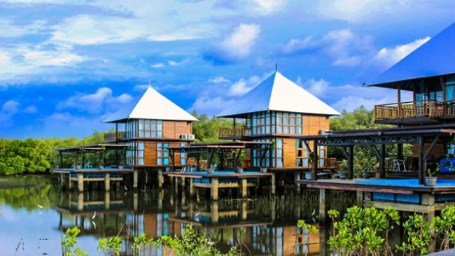 Hutan Mangrove BJBR