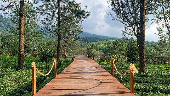 Jam Operasional Wisata Gunung Mas Puncak