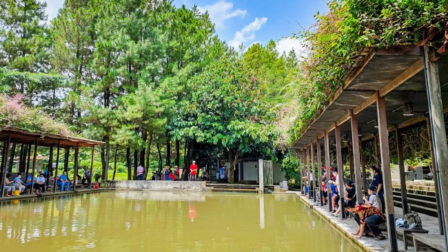 Keunikan dan Pesona Kuntum Farmfield yang Bikin Betah