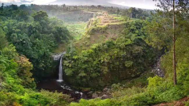 Lokasi dan Rute Air Terjun Kedung Kayang