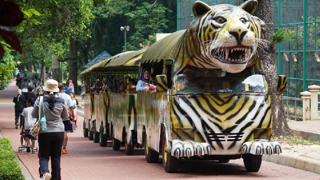 Lokasi dan Rute Menuju Ragunan