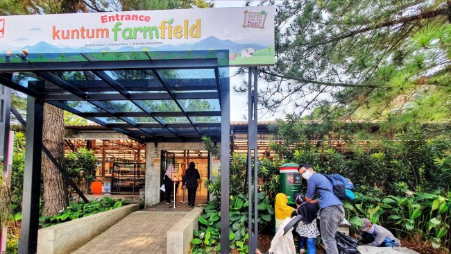 Panduan Transportasi ke Kuntum Farmfield