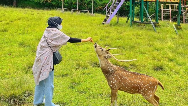 Penangkaran Rusa Kertamanah