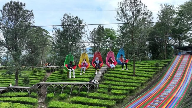 Tentang Wisata Gunung Mas Puncak