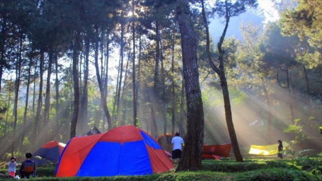 Tips Supaya Berkunjung ke Gunung Puntang Lebih Aman dan Nyaman