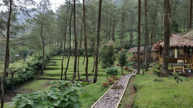 Vanaprastha Gedong Songo Park