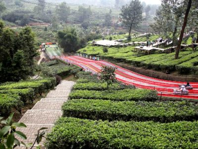 Wisata Gunung Mas Puncak Cocok untuk Liburan Santai dan Menenangkan