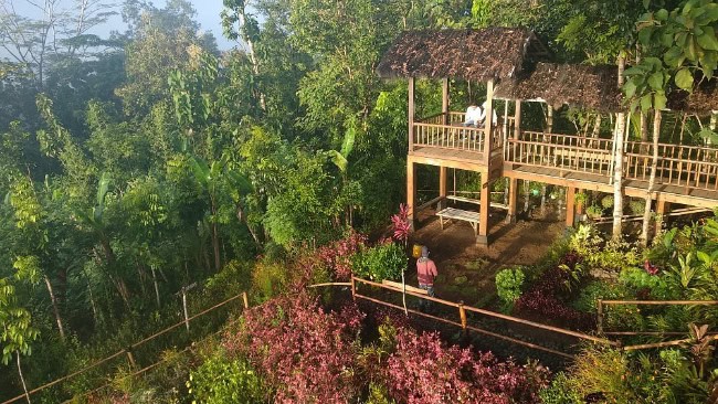Bukit Barede