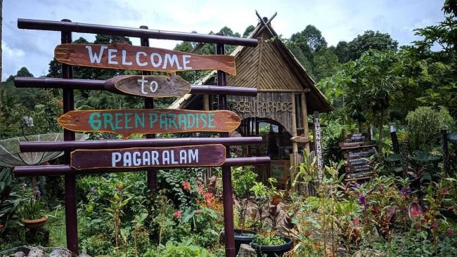 Green Paradise
