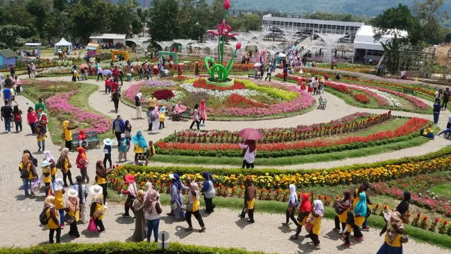 Harga Tiket Taman Bunga Celosia