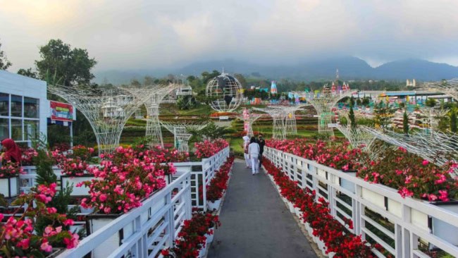 Jam Buka Taman Bunga Celosia