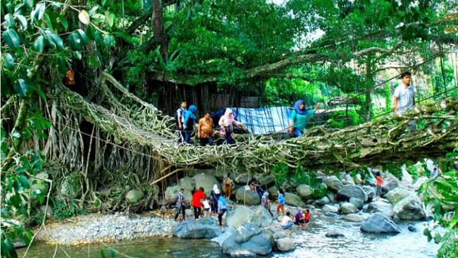 Jembatan Akar Bayang