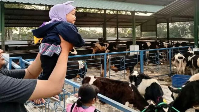 Propang Ranch