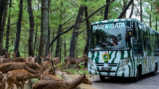 Taman Safari Prigen