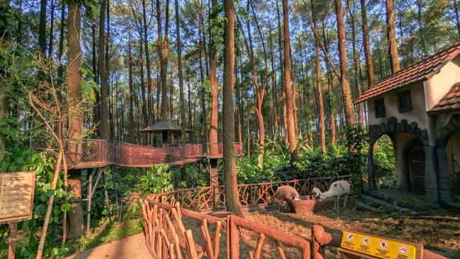 Tentang Taman Safari Prigen