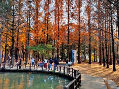 romantisme di nami island