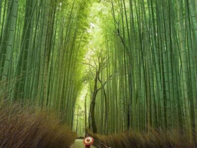 arashiyama, kyoto