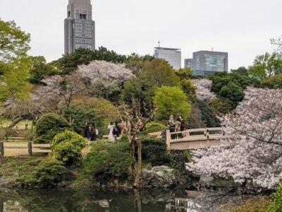 shinjuku gyoen, tokyo